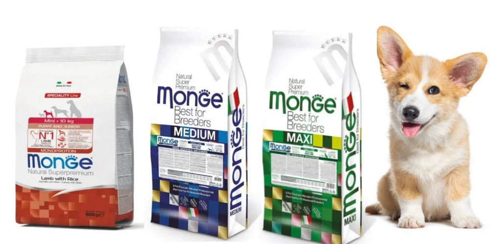 Їжа для гавчика: чим особлива лінійка кормів Monge